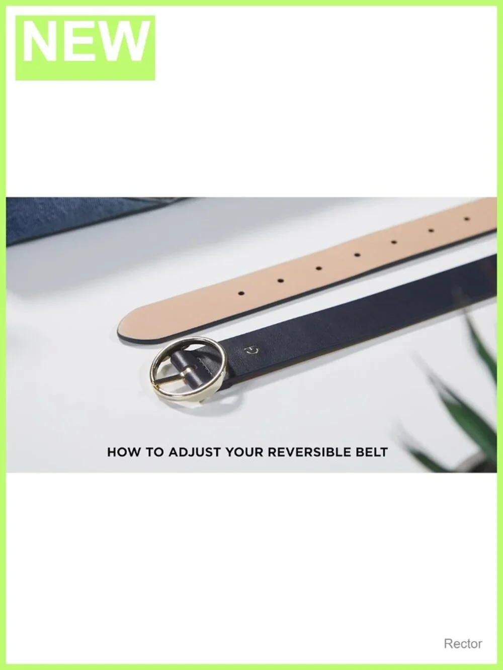 Reversible Circle Buckle 2